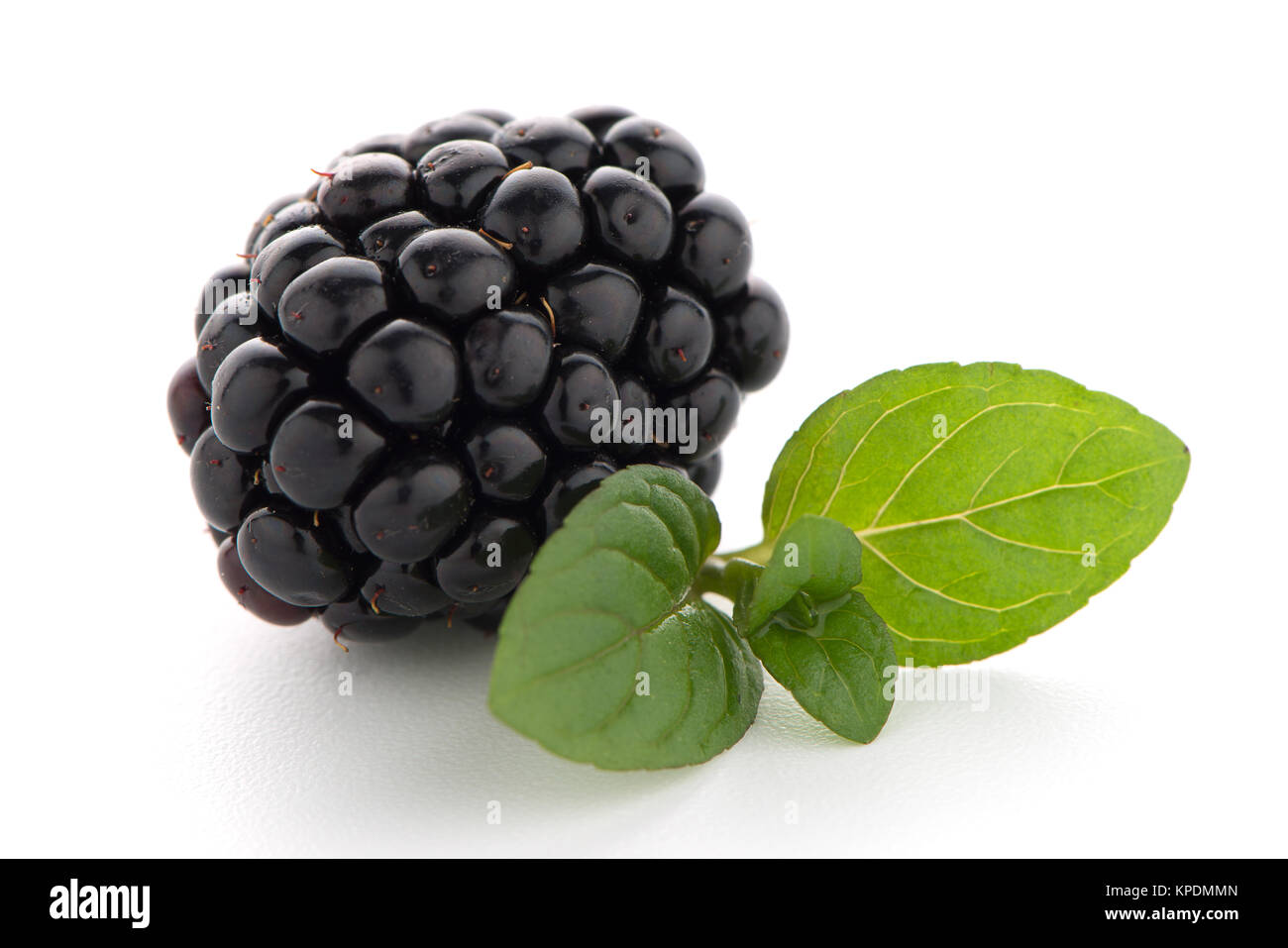 Blackberries with leaves Stock Photo Alamy