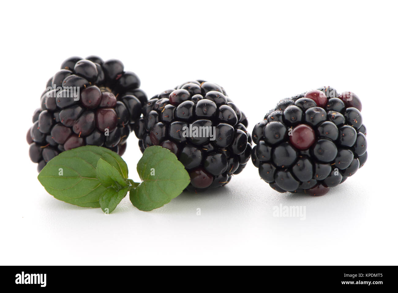 Blackberries with leaves Stock Photo Alamy