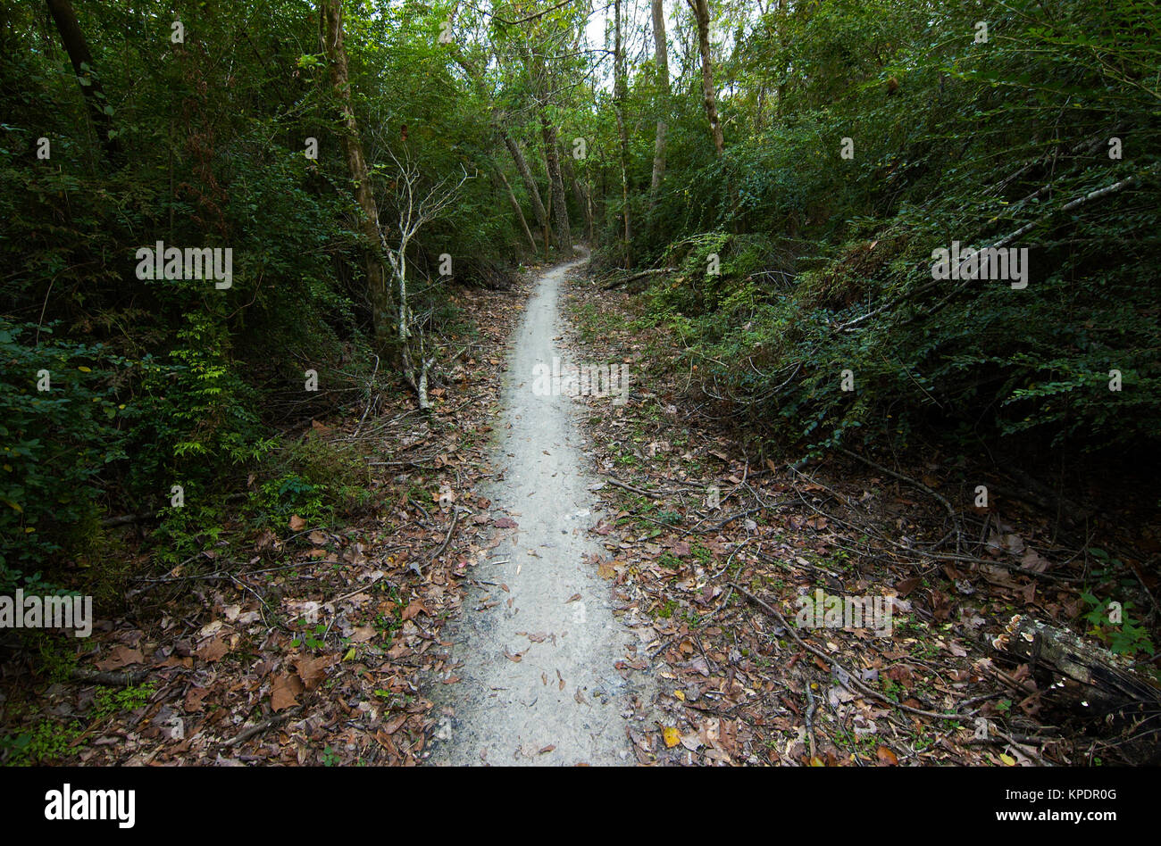 Baton Rouge, Louisiana 2017 A mountain bike trail at the Comite