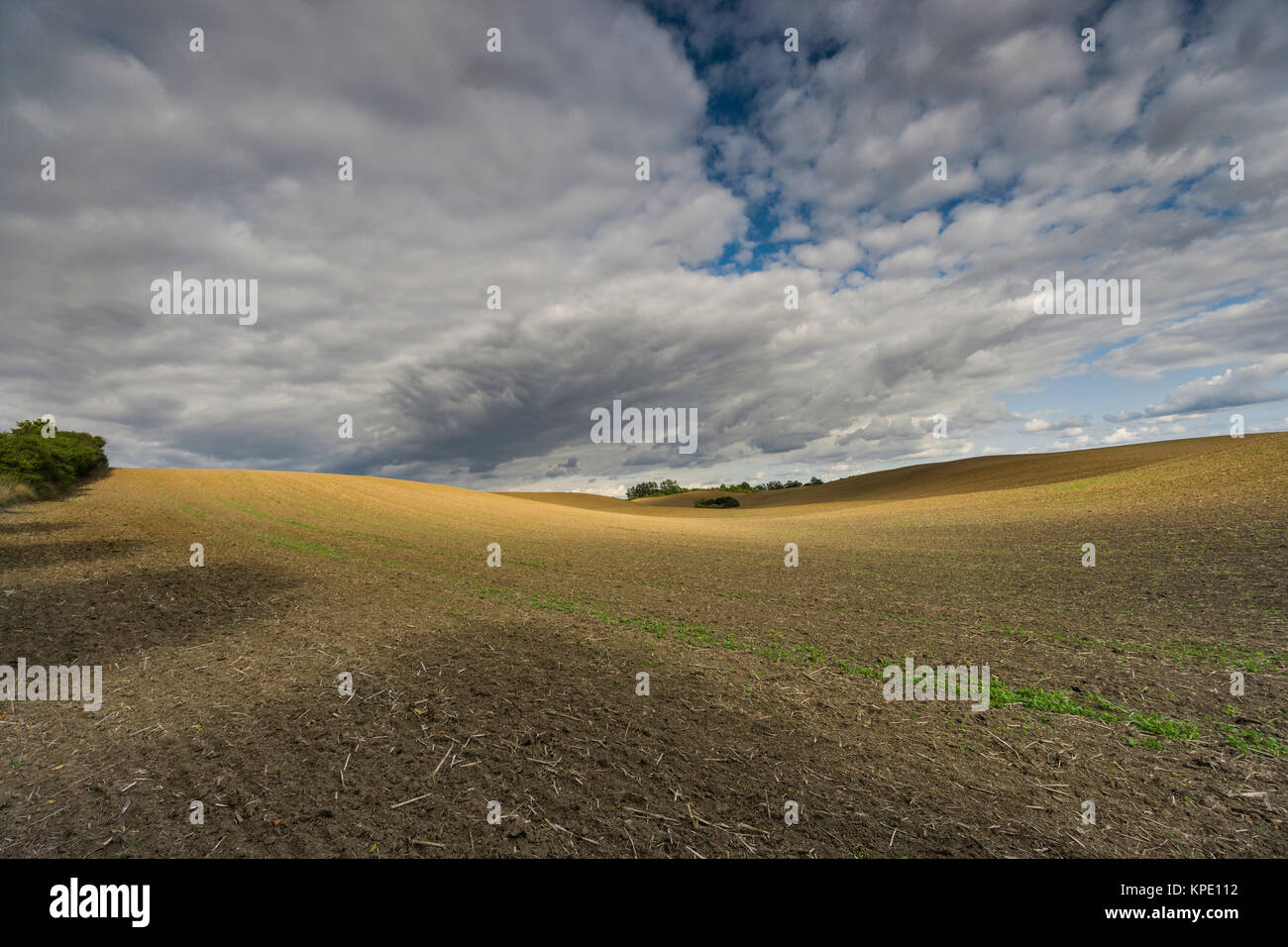 clouds on a harvested field,wandering shadow on the field and bizarre cloud formations Stock Photo