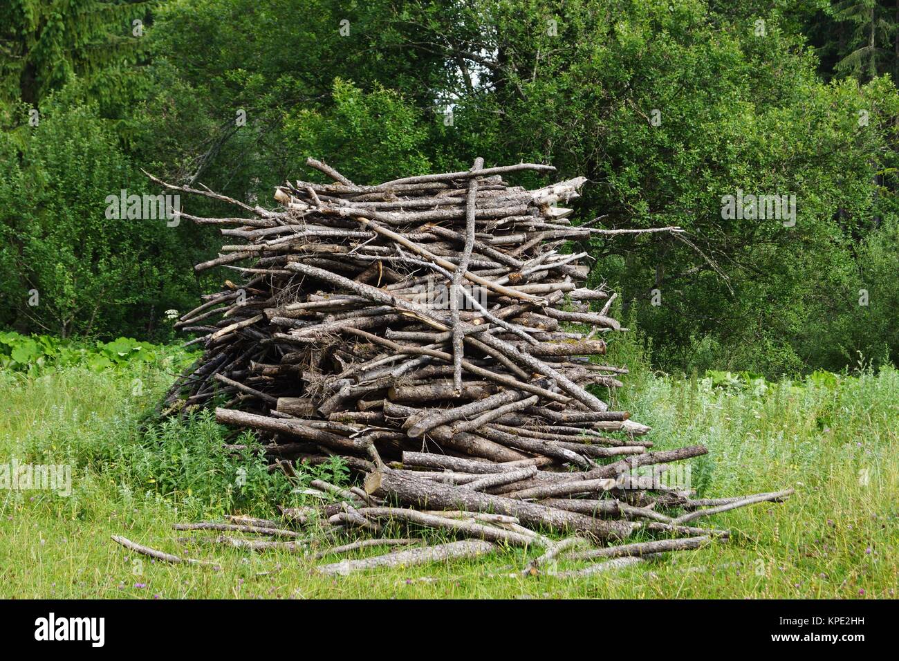 a pile of cut branches lying on a meadow Stock Photo