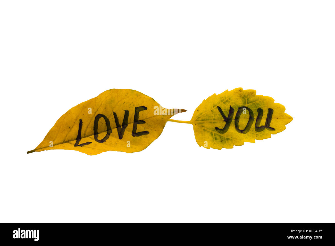 Yellow leaves with the inscription love you on a isolated white ...
