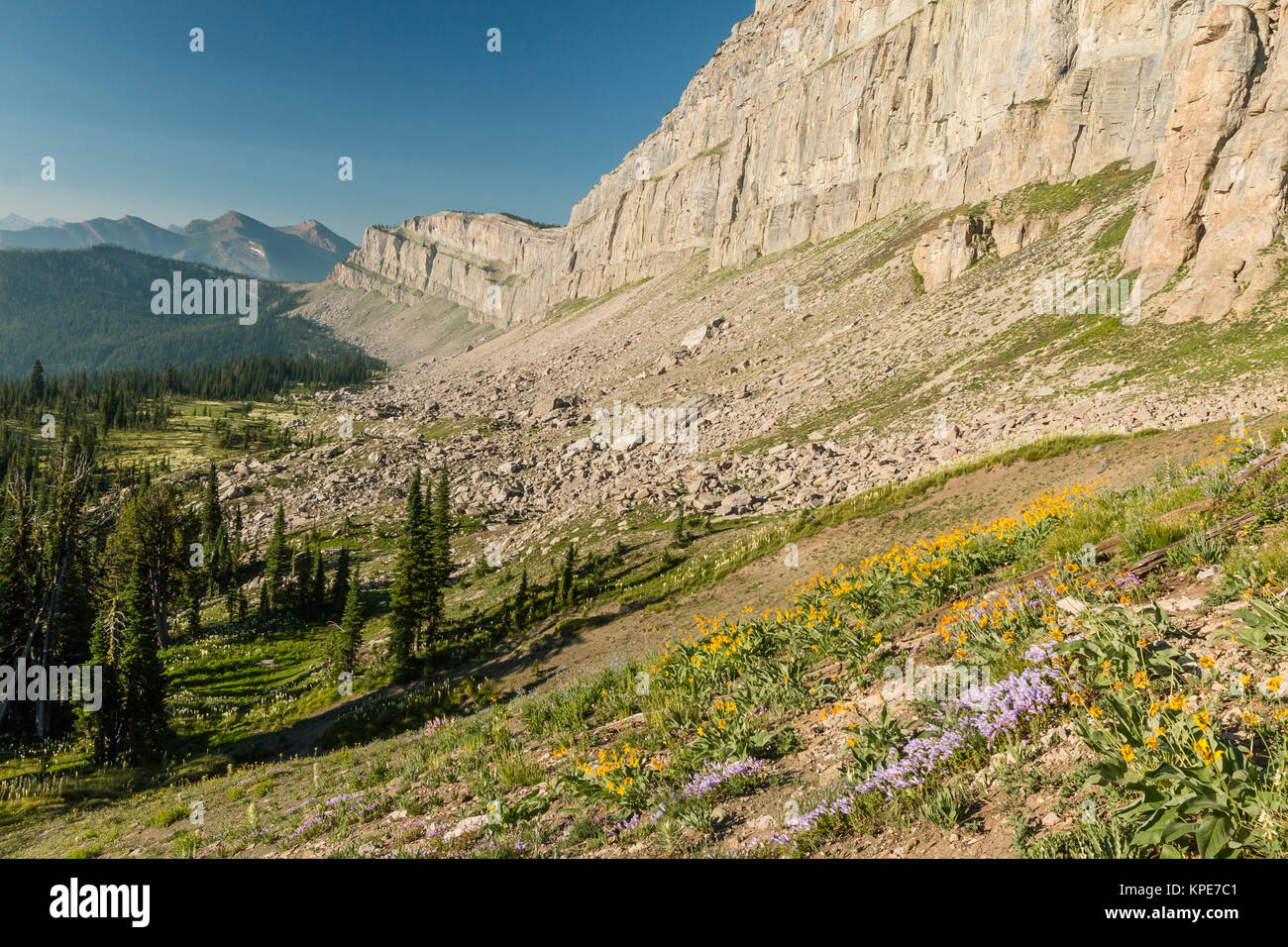 The Chinese Wall and wildflowers in the Bob Marshall Wilderness, Montana Stock Photo