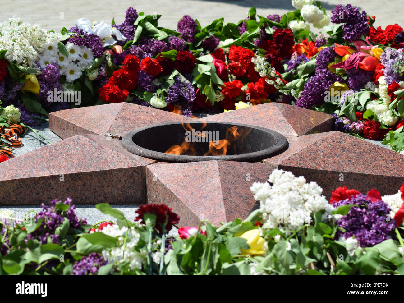 Eternal flame plant hires stock photography and images Alamy