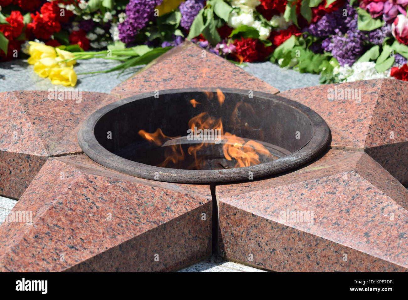 Eternal flame plant hires stock photography and images Alamy