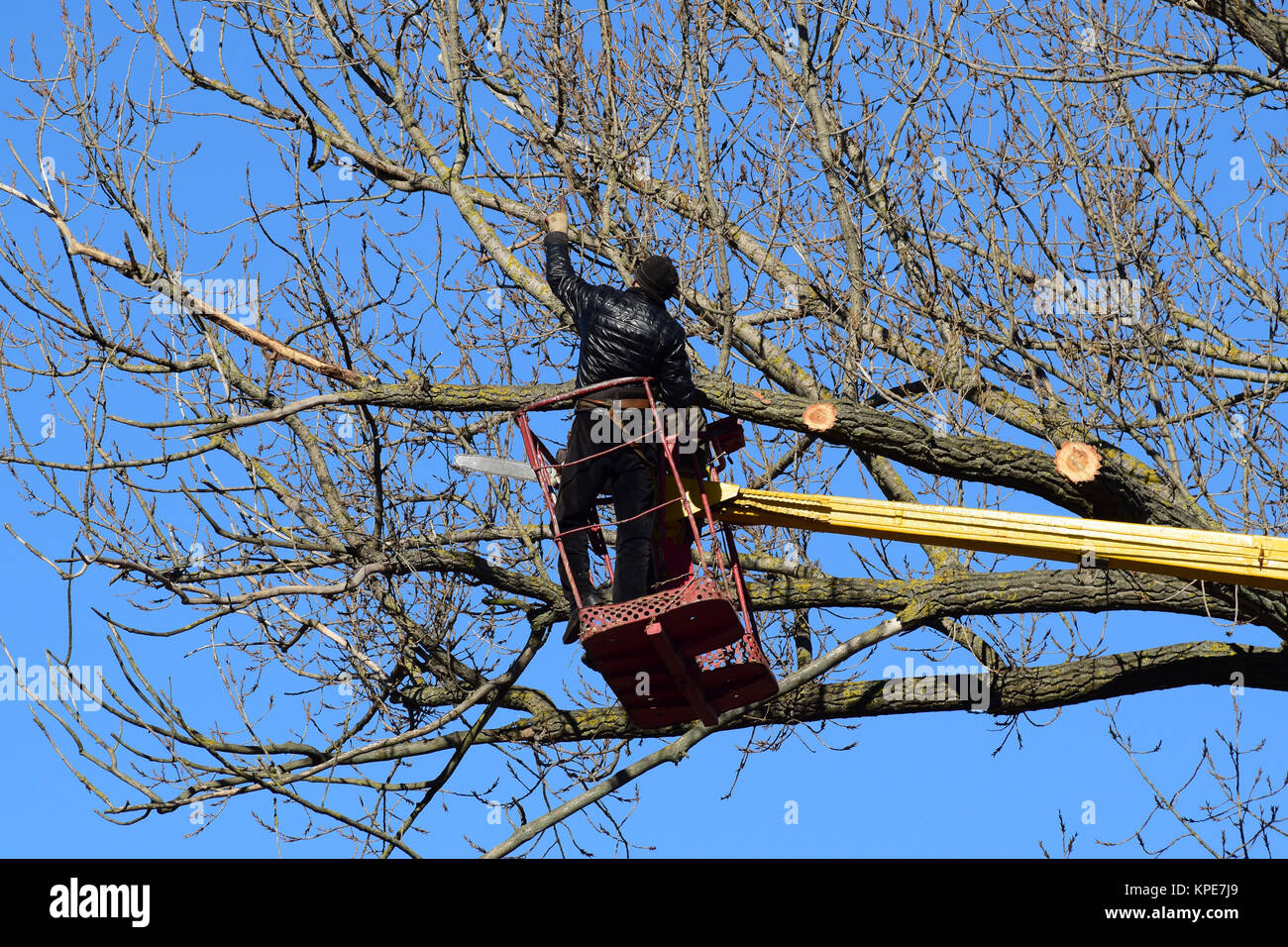 Trimming tree lift arm hires stock photography and images Alamy