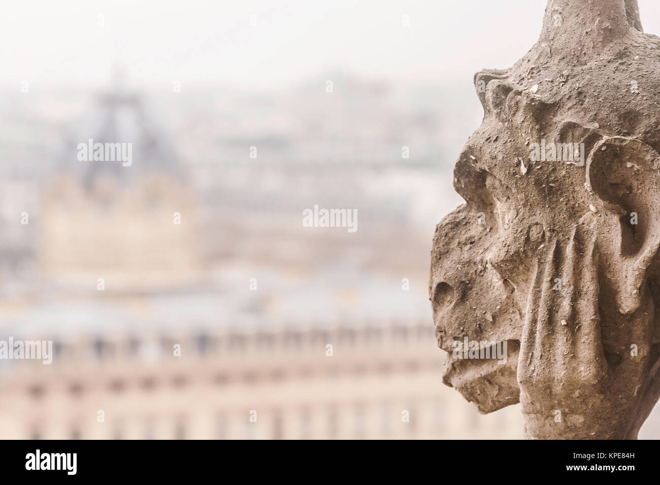 Close-up of a chimera of the Notre-Dame of Paris cathedral with copy space, France, Europe. Stock Photo