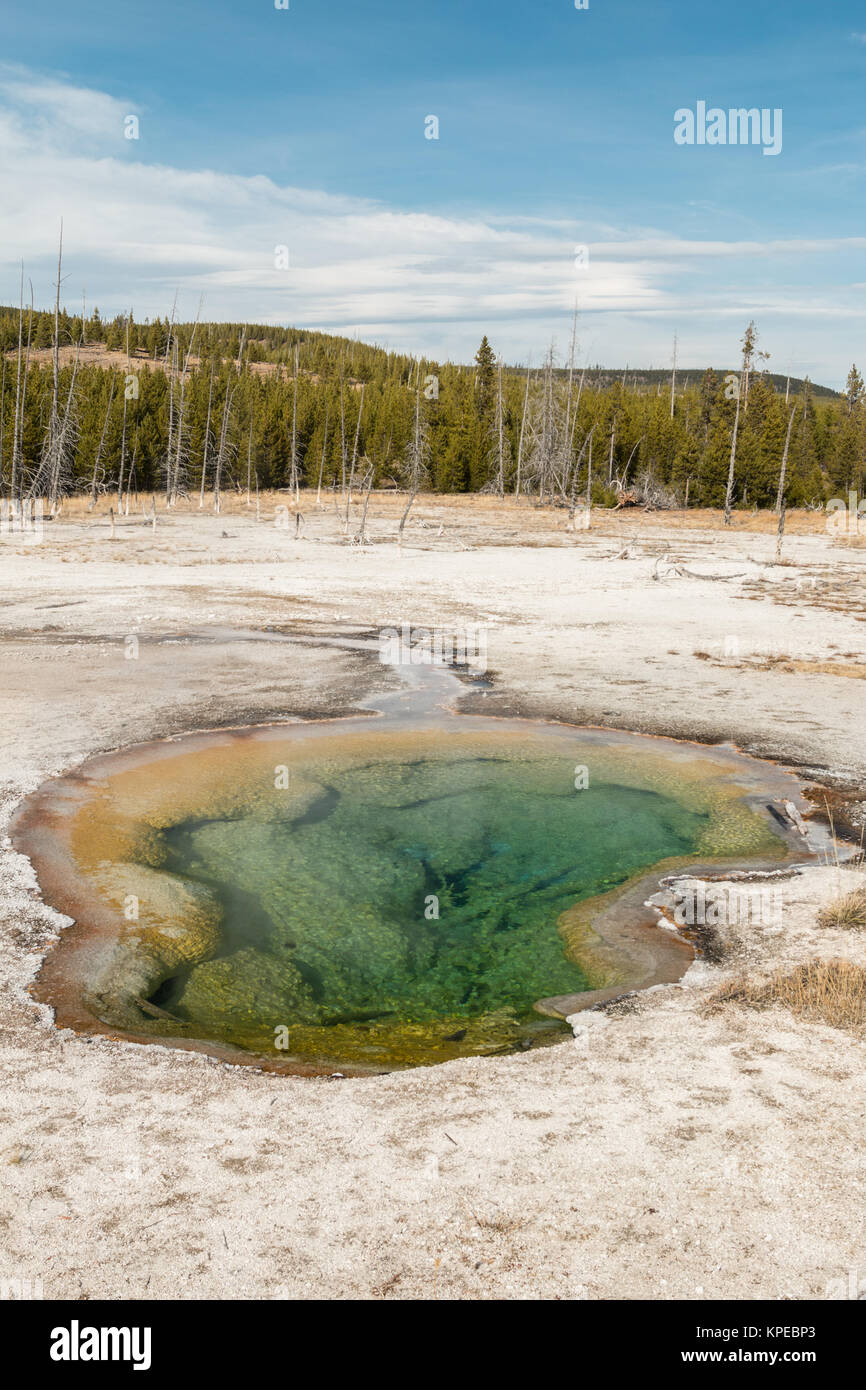 Unnamed hot spring at Biscuit Basin in Yellowstone National Park, Wyoming Stock Photo