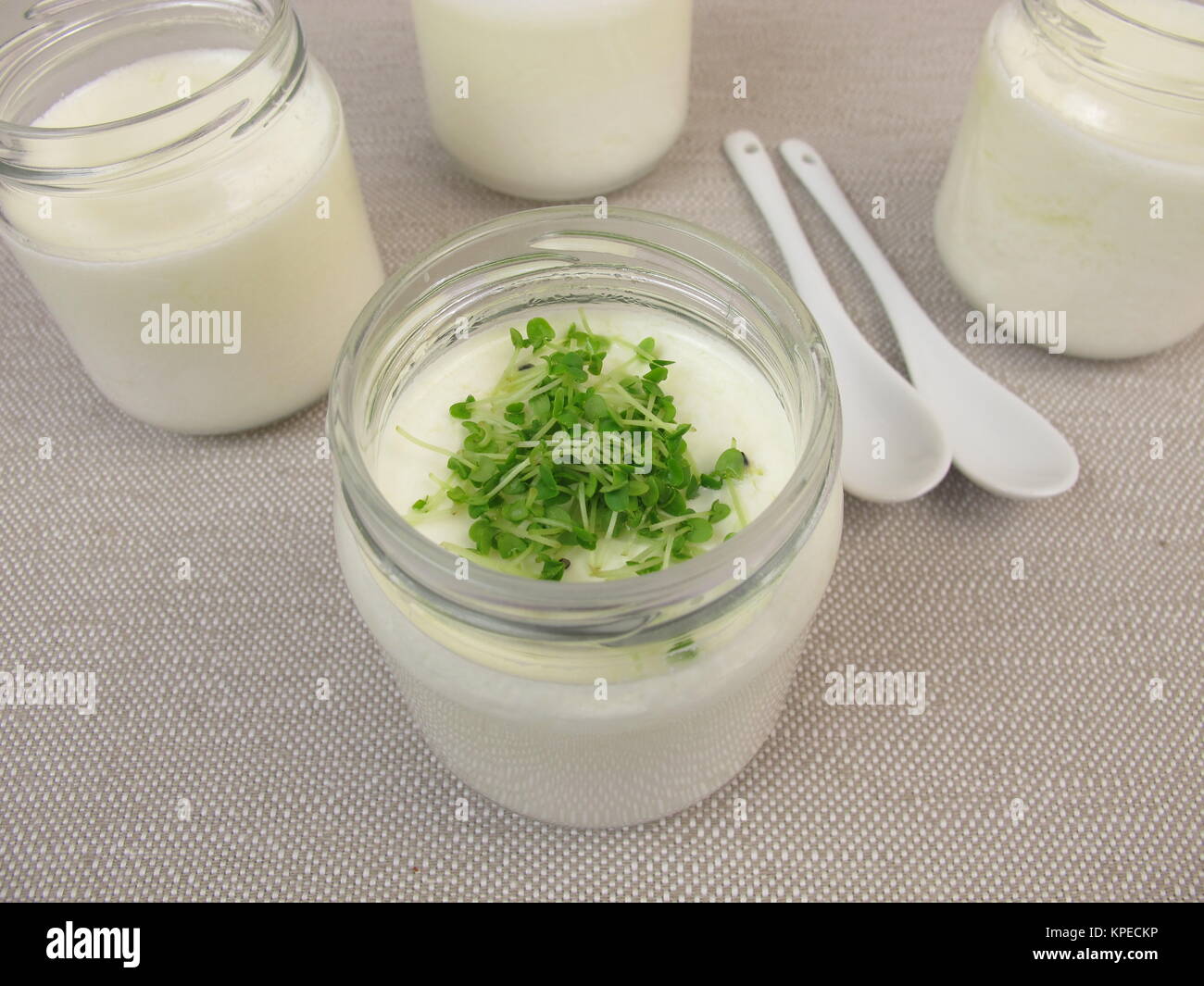 yogurt from yogurt maker with basil sprouts Stock Photo