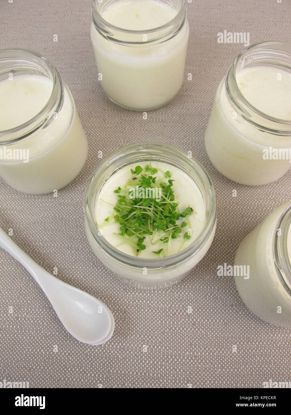 yogurt from the yoghurt maker with basil sprouts Stock Photo