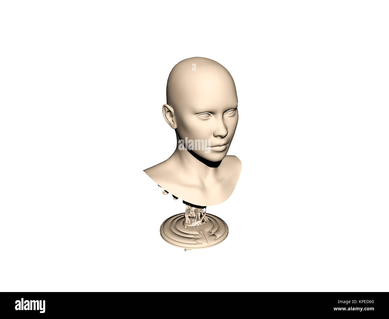 Stone bust with head and shoulders exposed Stock Photo Alamy
