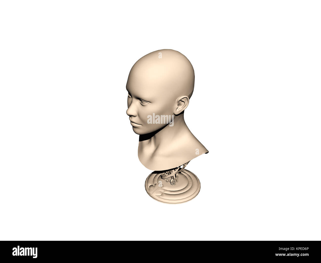 Stone bust with head and shoulders exposed Stock Photo Alamy