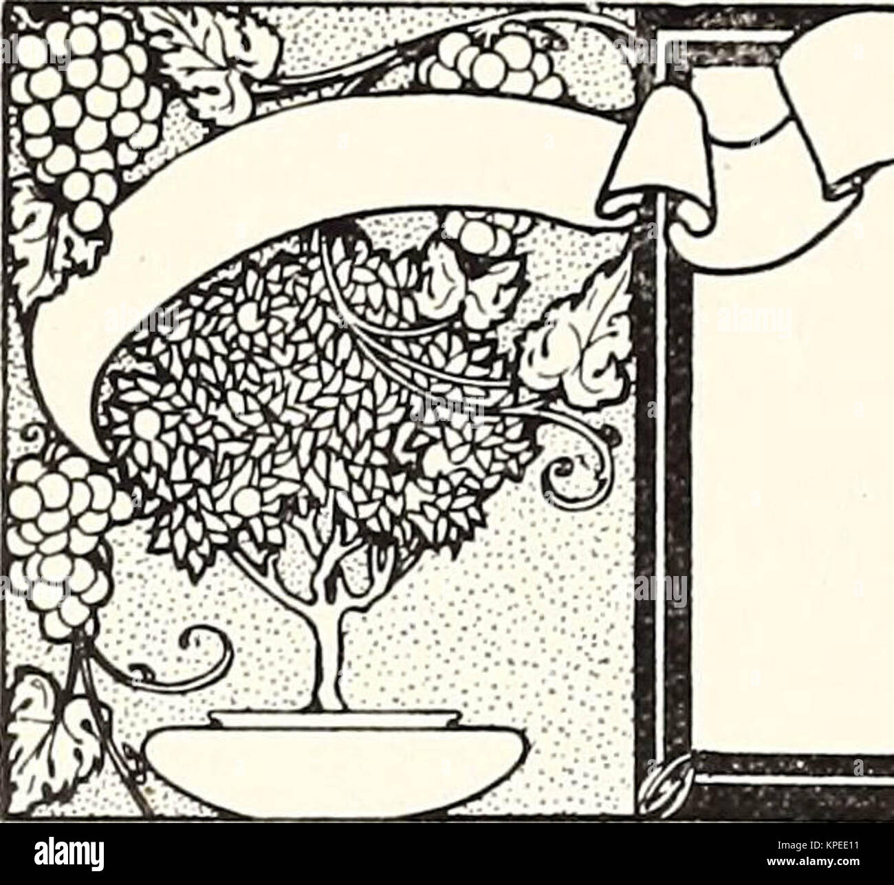"Revised, illustrated and descriptive catalogue of fruit and ornamental trees shrubs, roses, bulbs and bulbous plants, grape vines, small fruits, etc." (1916) Stock Photo