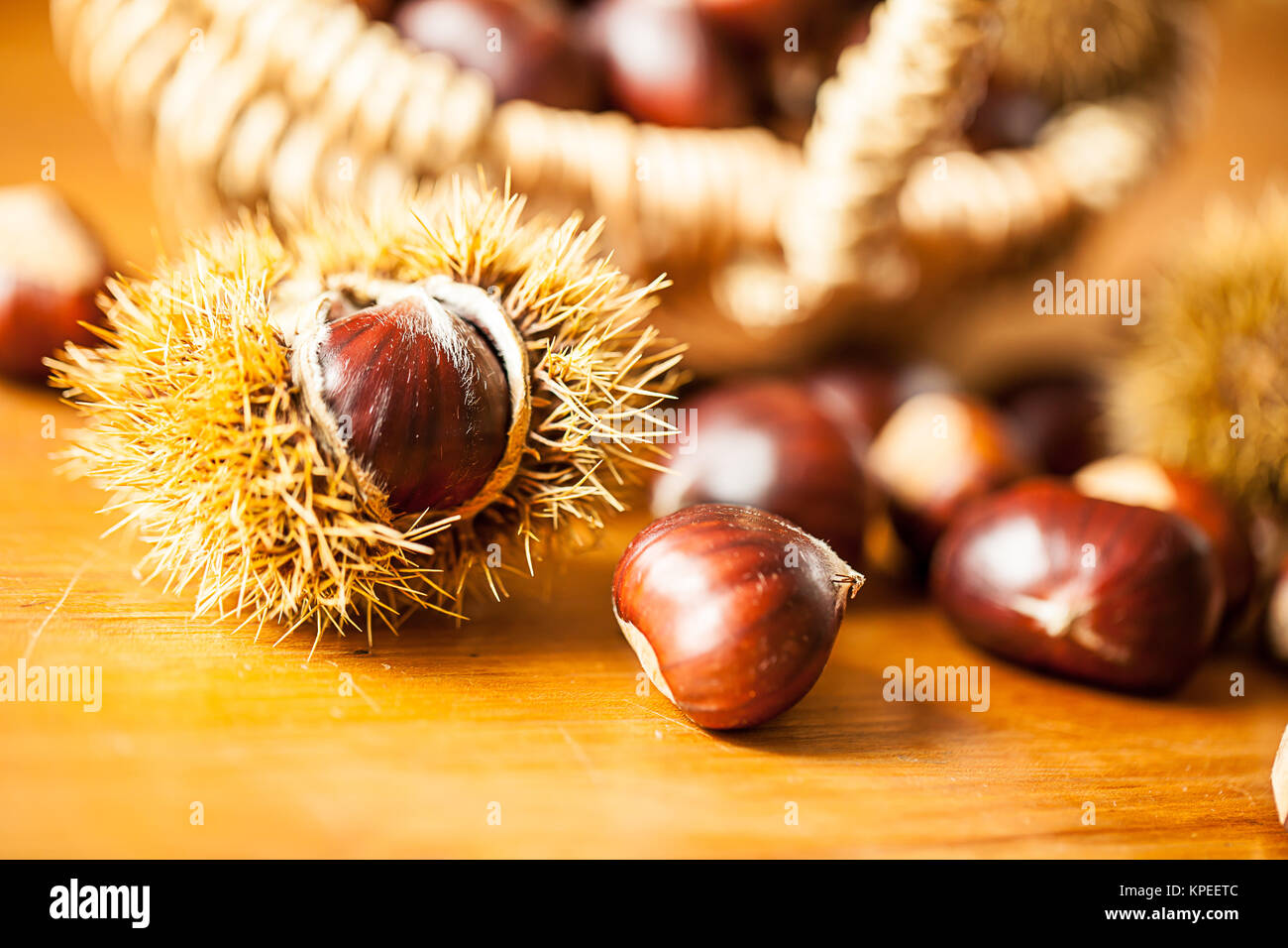 sweet chestnut (castanea sativa) Stock Photo