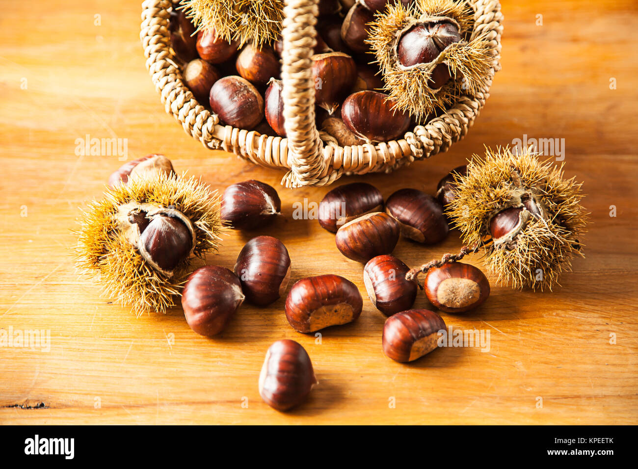 chestnut (castanea sativa) Stock Photo