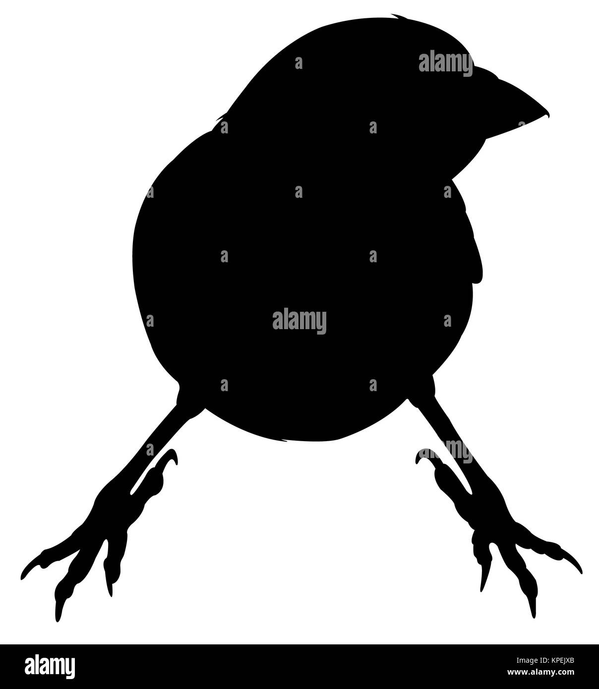 a sparrow silhouette Stock Photo