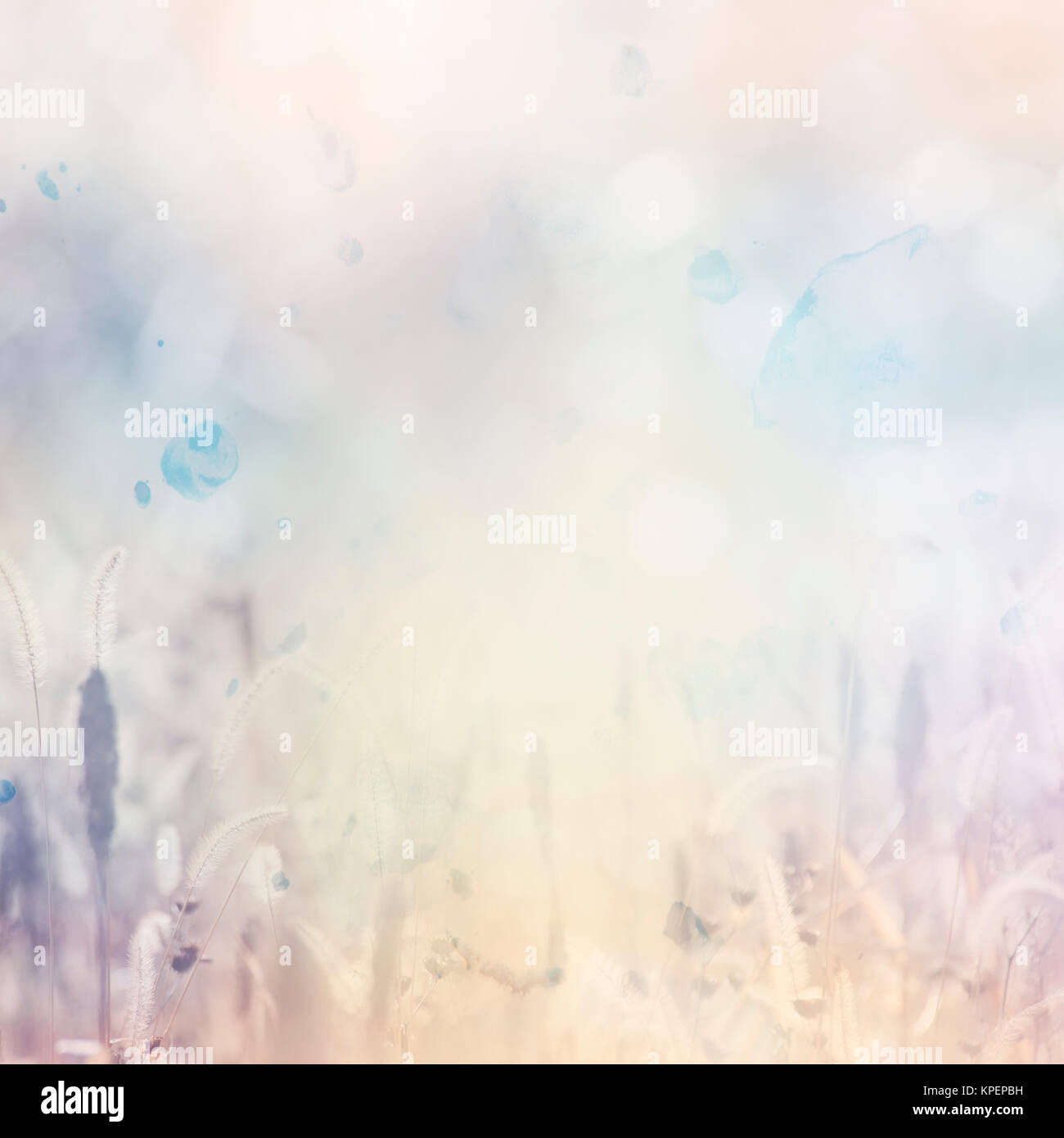 Nature Abstract Background with Grass Stock Photo - Alamy