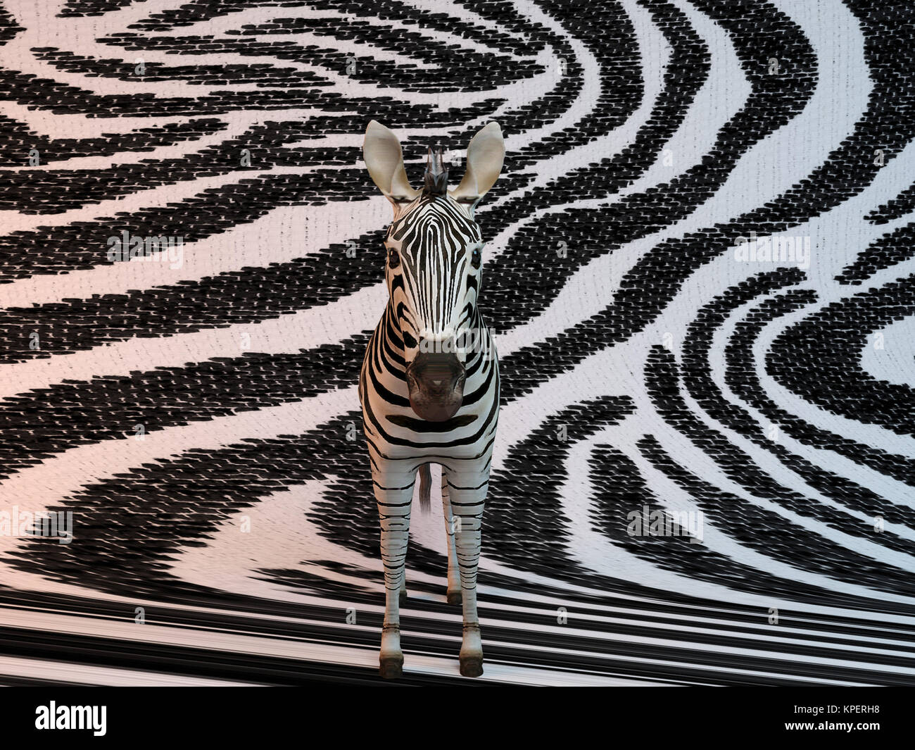 3d zebra patterns Stock Photo