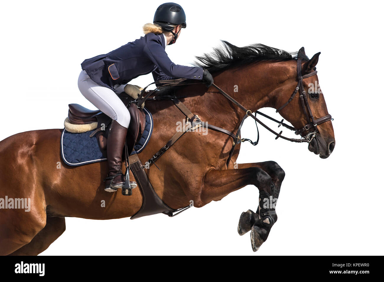 Equestrian Sports, Horse Jumping Event, Isolated on White Background