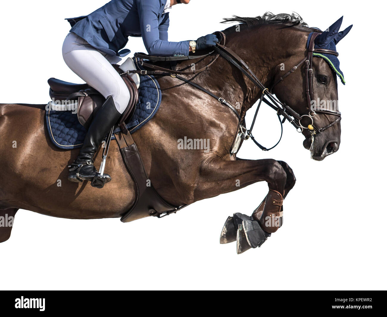 Equestrian Sports, Horse Jumping Event, Isolated on White Background Stock Photo