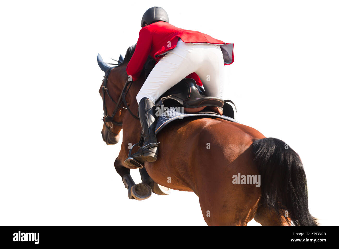 Equestrian Sports, Horse Jumping Event, Isolated on White Background Stock Photo