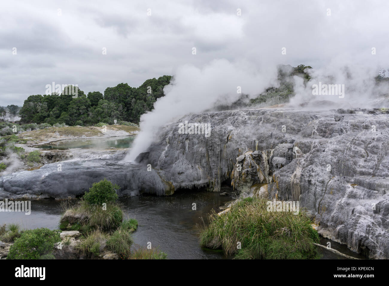 te puia geothermal valley Stock Photo Alamy
