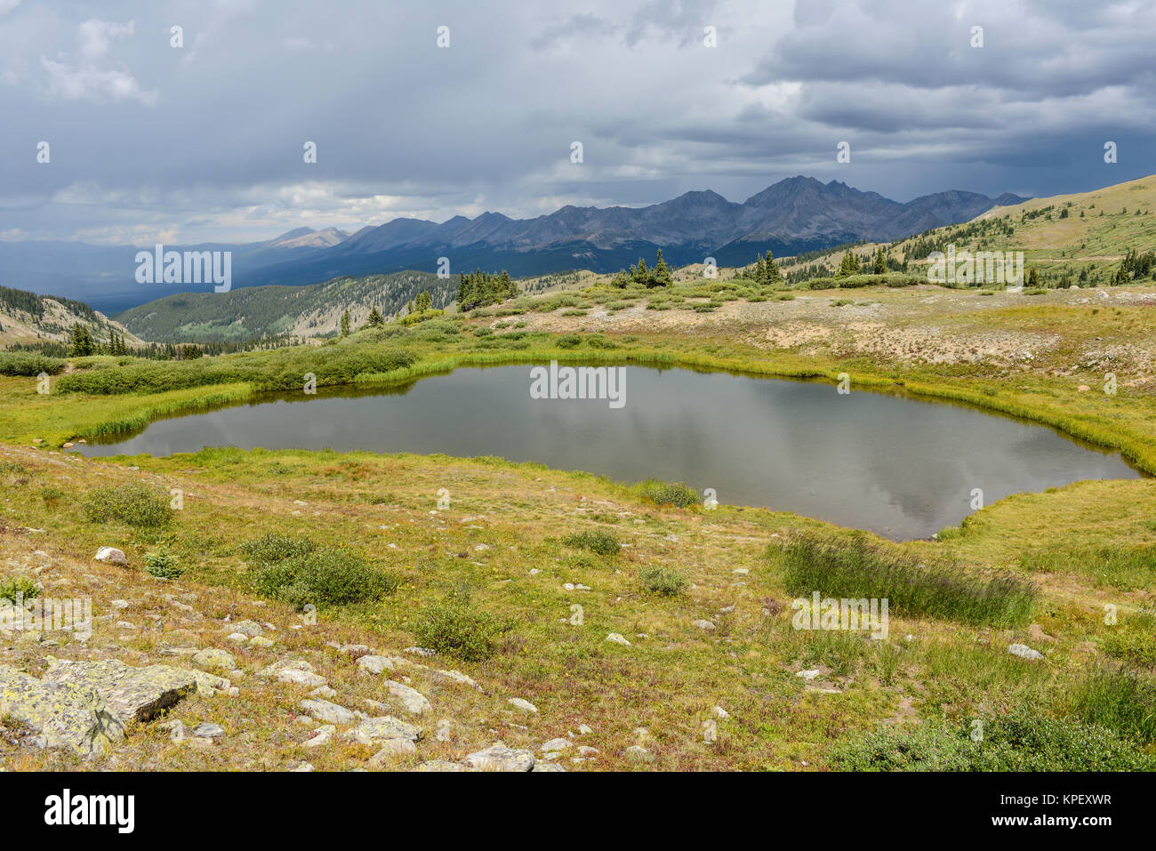 Mountain Pond - Late summer view of a small tundra pond and surrounding high peak range at the summit of Cottonwood Pass (12,126 ft), Colorado, USA. Stock Photo