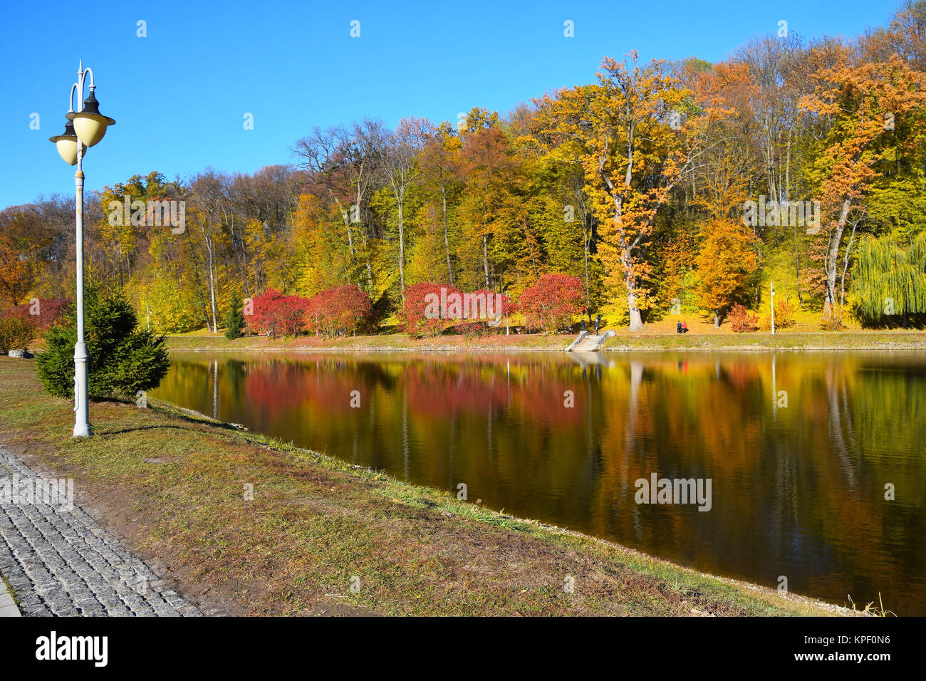 Colorful autumn trees with water reflection Stock Photo