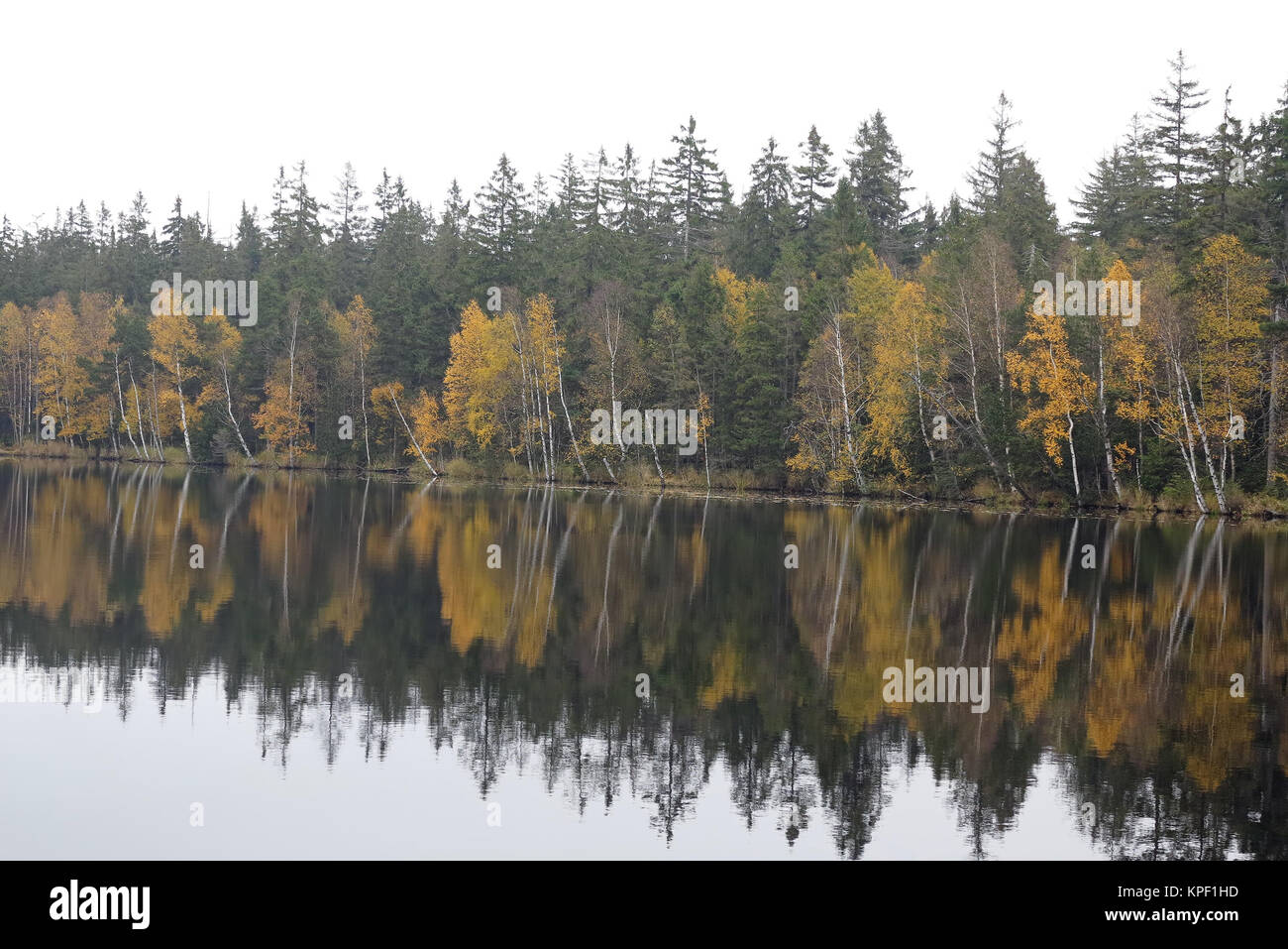 Trees on the bank of lake in the autumn Stock Photo - Alamy