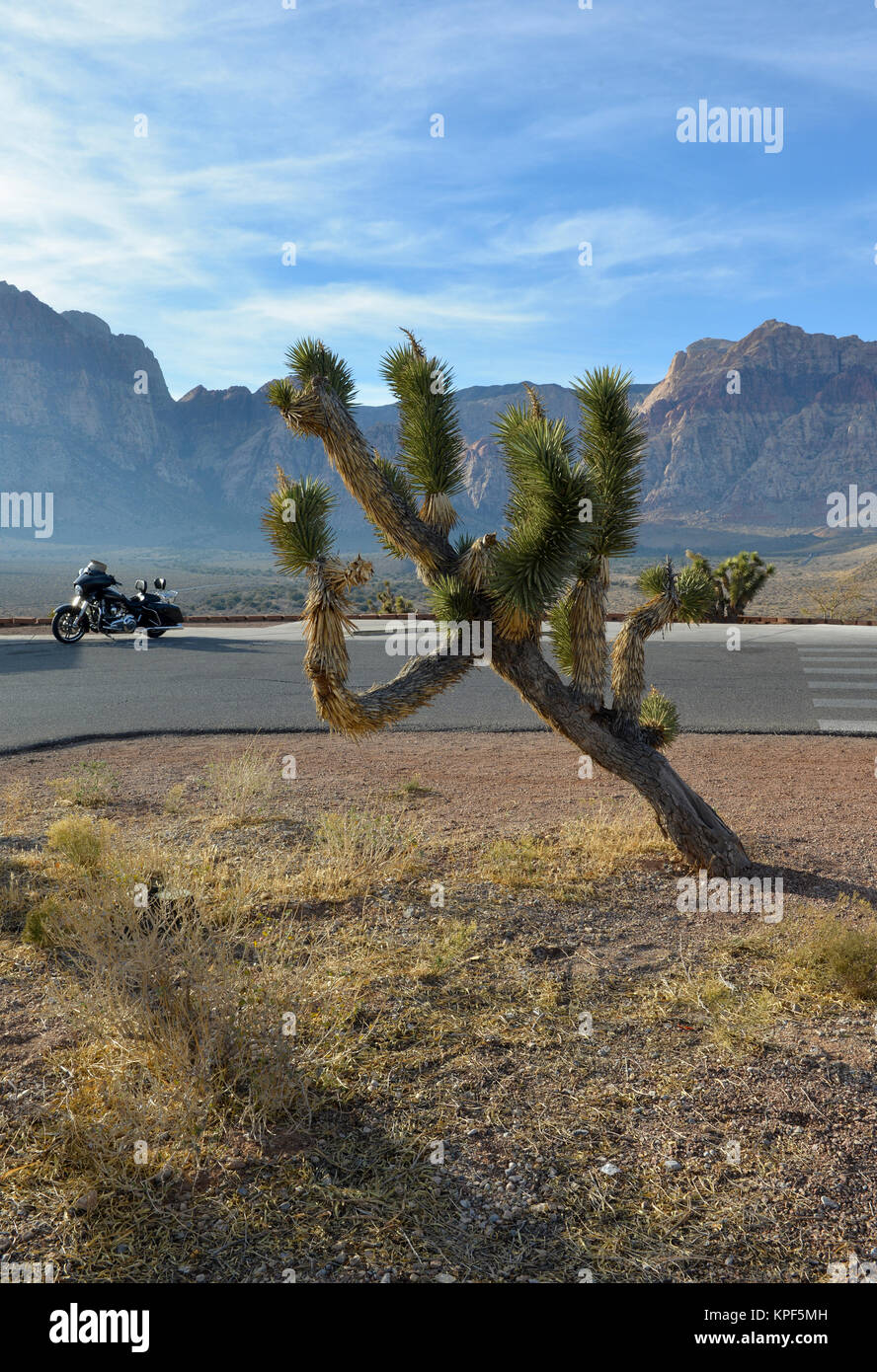 Red Rock Park, Nevada landscape with desert, road, motorcycle and ...