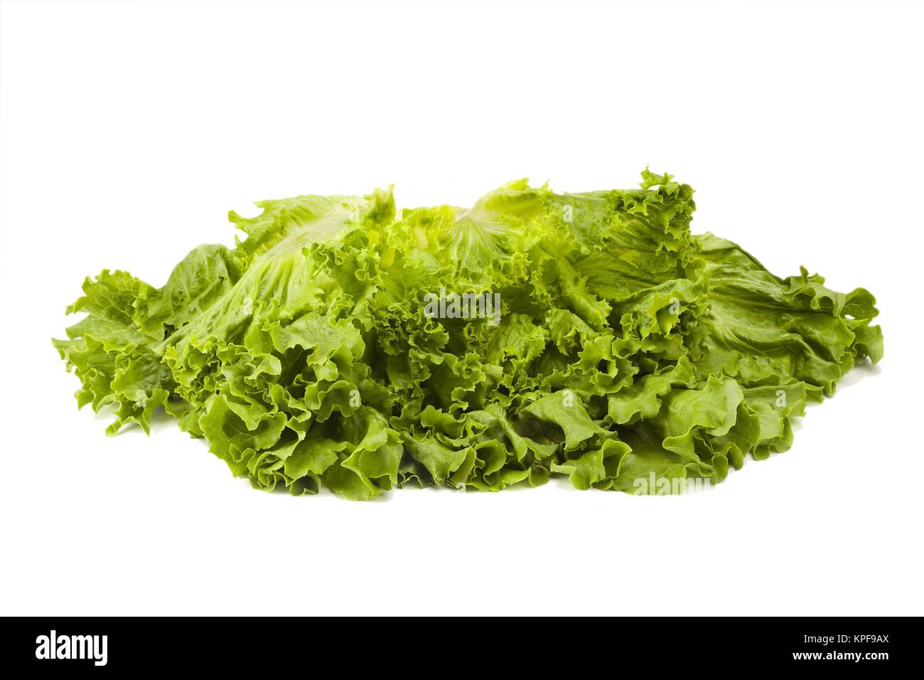 Fresh Lettuce Head Stock Photo Alamy