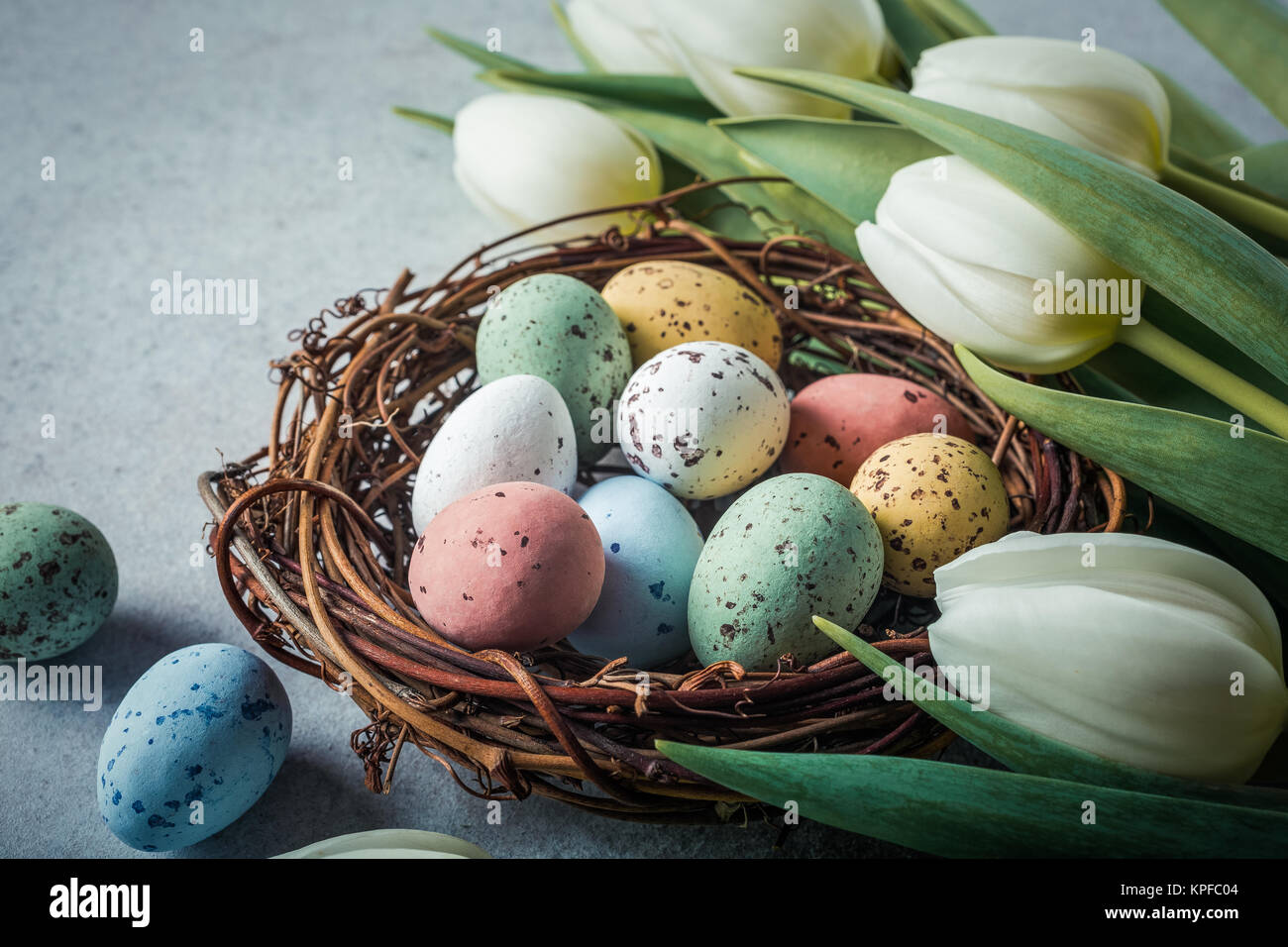 Spring and Easter holiday greeting card concept. White tulips with ...