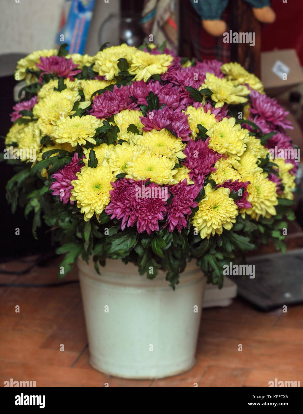Pretty bouquet of yellow and purple chrysanthemums in bucket Stock Photo