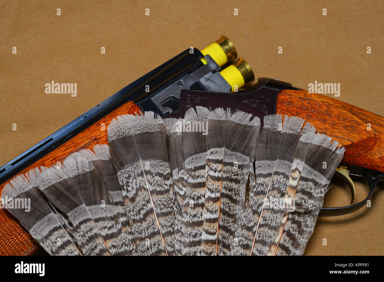 An over and under 20 ga. shotgun loaded with shells on a brown canvas background with tail feathers from a ruffed grouse. Stock Photo