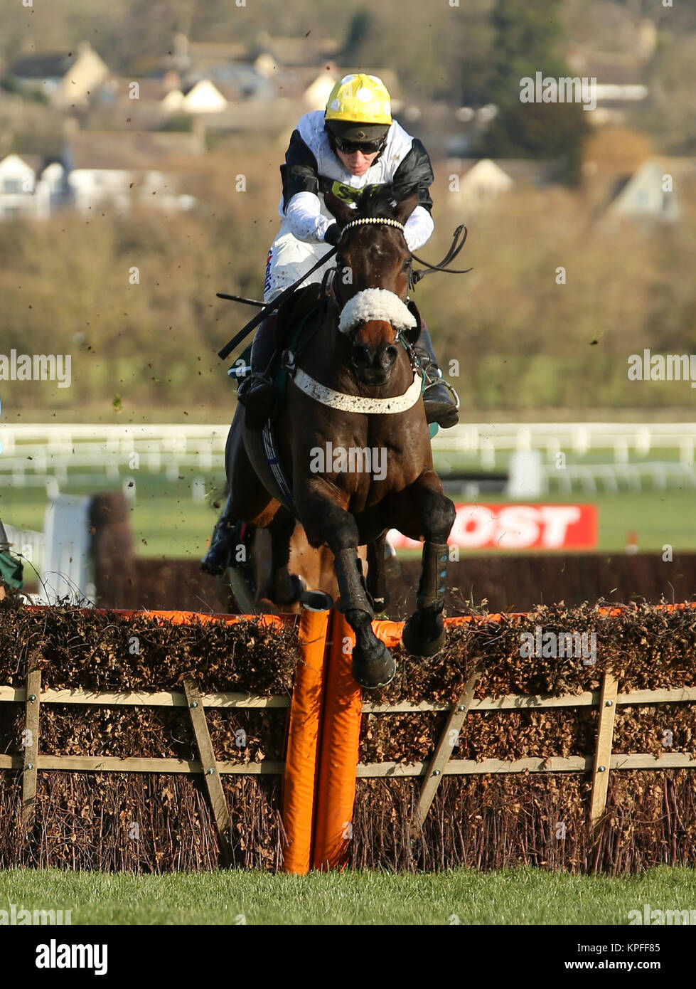 Western Rider ridden by Richard Johnson wins the The British Stallion ...