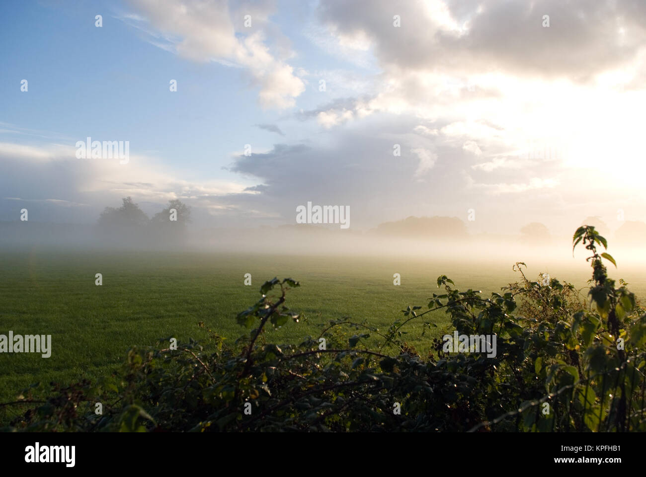 an early morning view over the water meadows draped in mist near Salisbury Cathedral, Wiltshire, UK Stock Photo