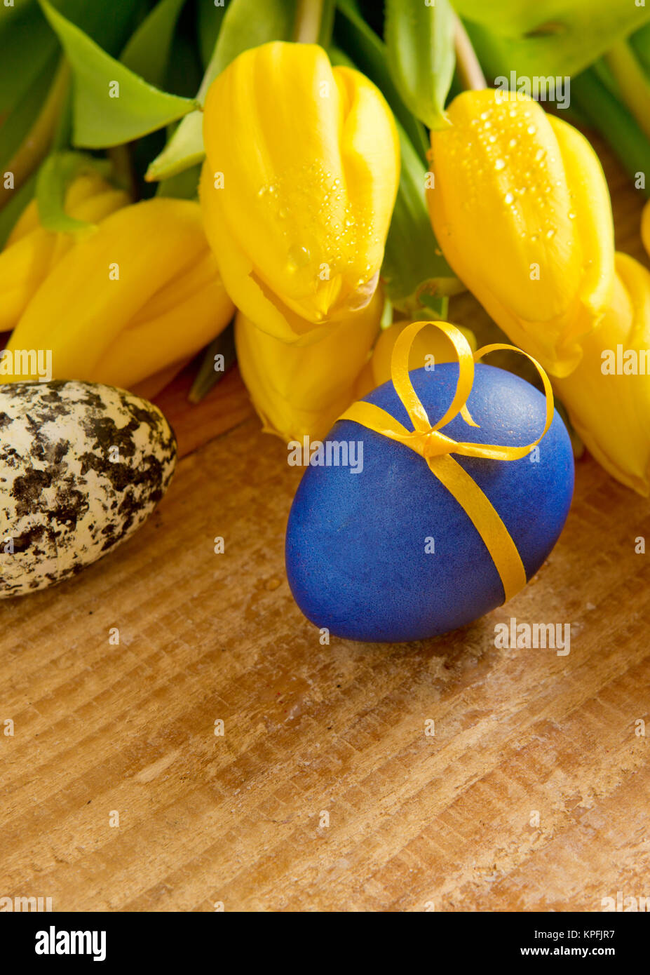 Blue Easter egg and yellow tulips isolated on wood Stock Photo - Alamy