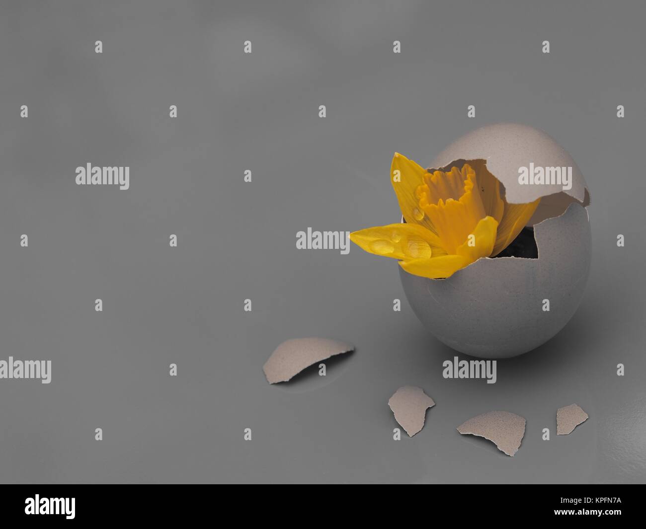 Spring awakening hi-res stock photography and images - Alamy