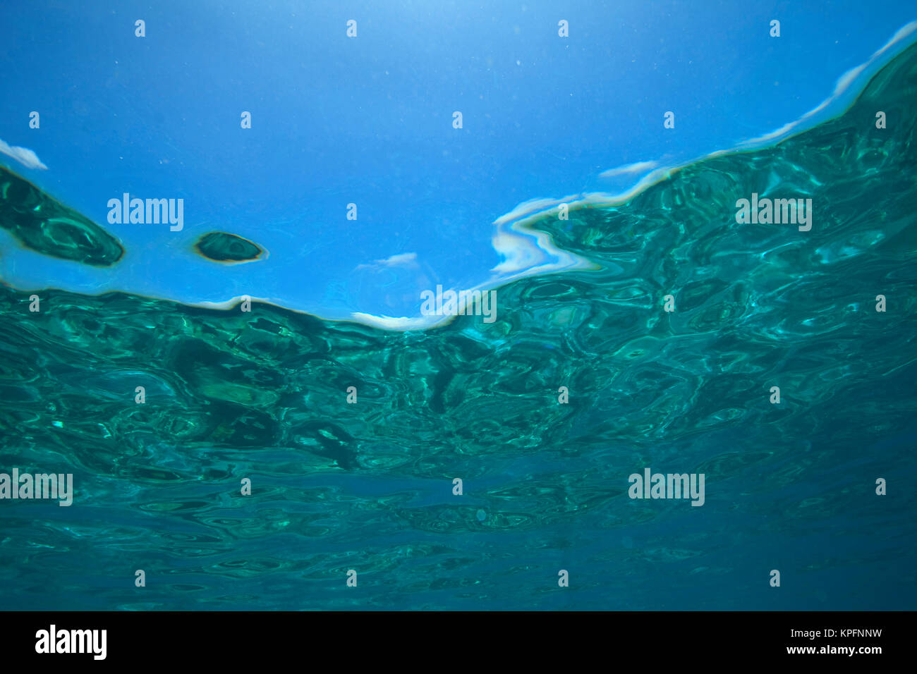 Underwater, Northern Huvadhu Atoll, Southern Maldives, Indian Ocean