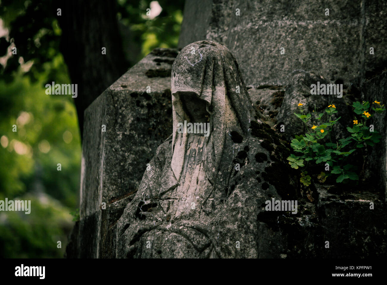 Graves, statues and crypts in an old cemetery Stock Photo Alamy
