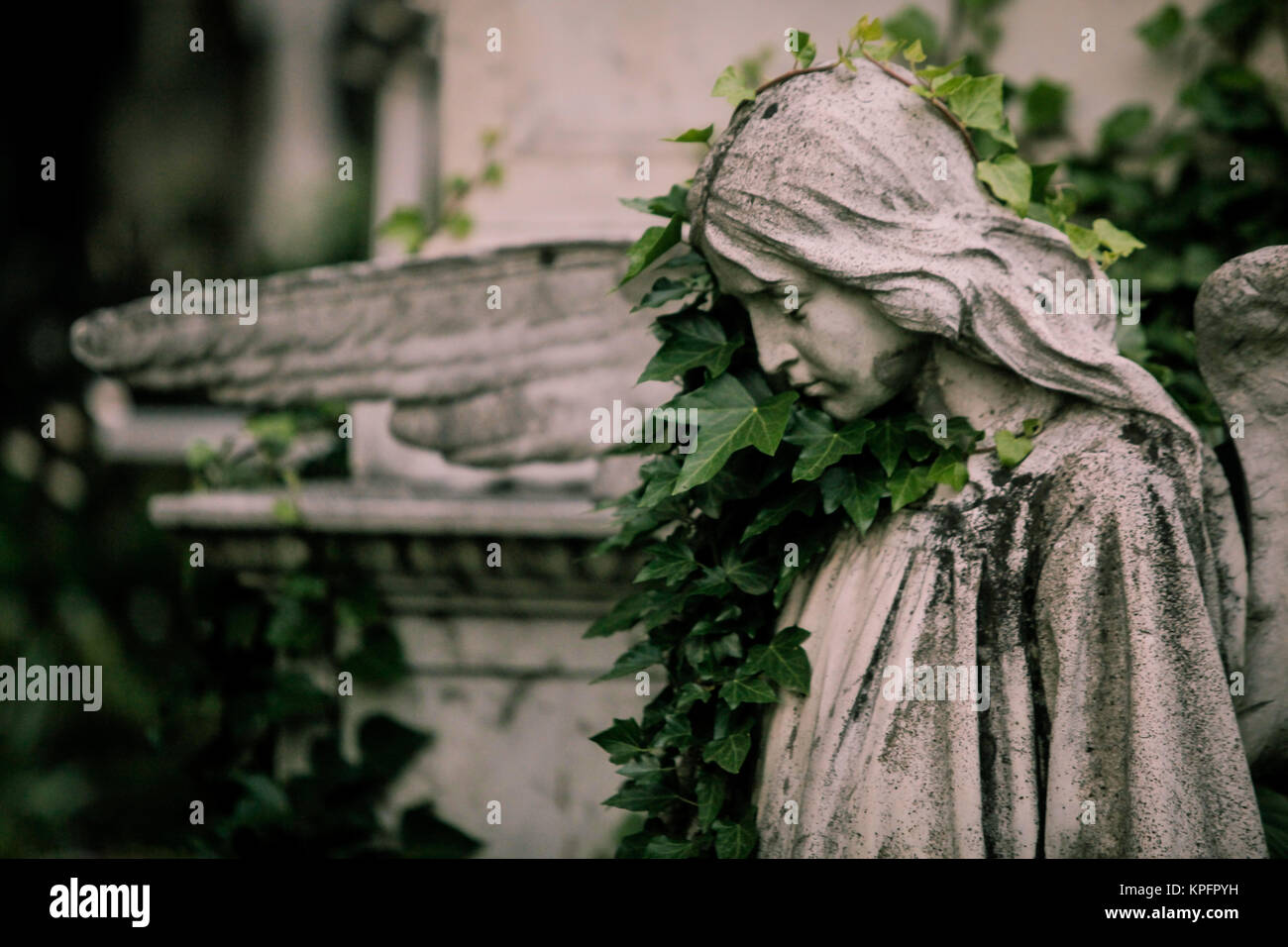 Graves, statues and crypts in an old cemetery Stock Photo Alamy