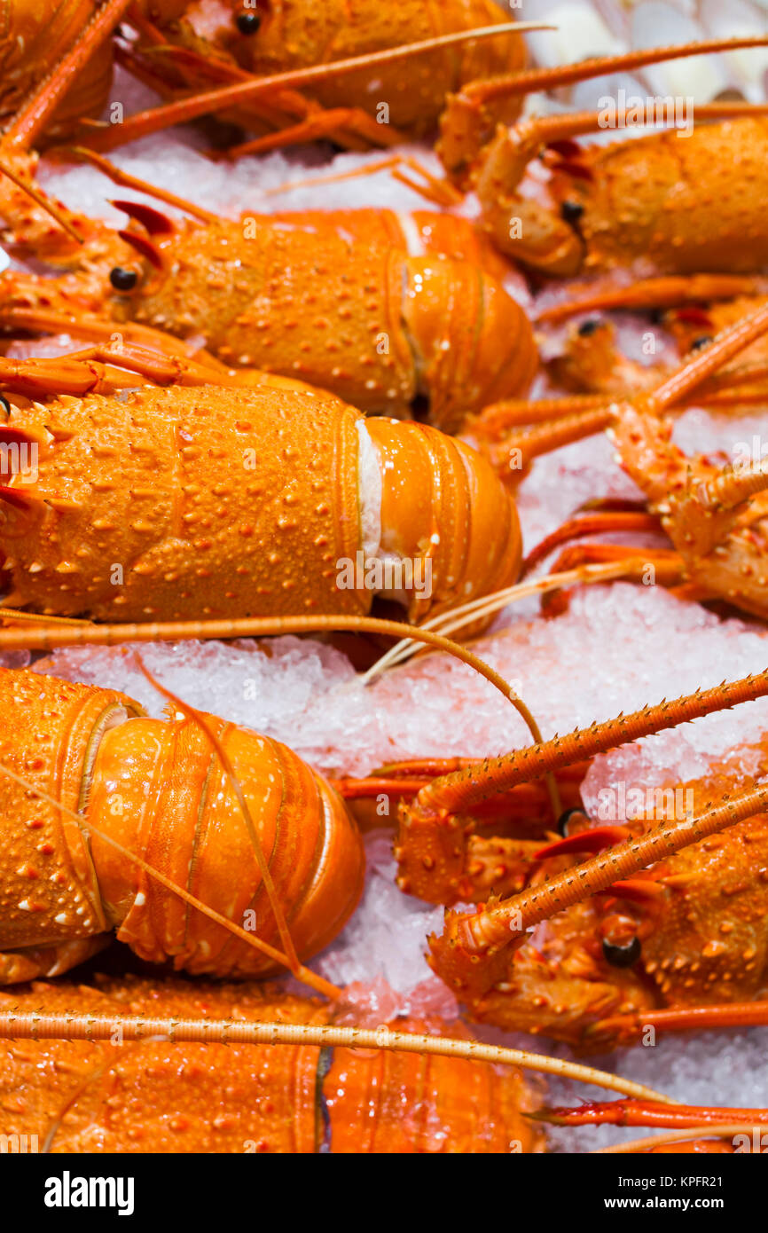 Australia, Sydney Fish Market, lobster Stock Photo Alamy