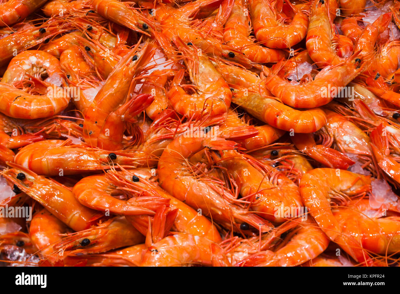 Australia, Sydney Fish Market, shrimp Stock Photo Alamy