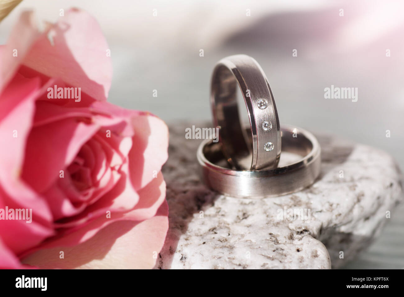 Romantic still life with a Rose and wedding rings Stock Photo