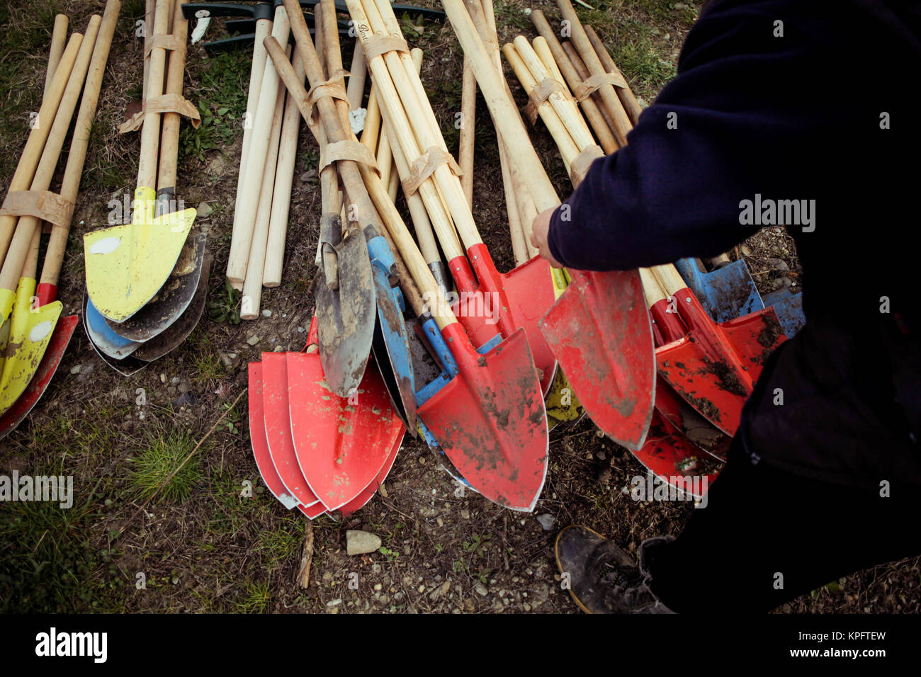 Shovels used for planting trees Stock Photo Alamy