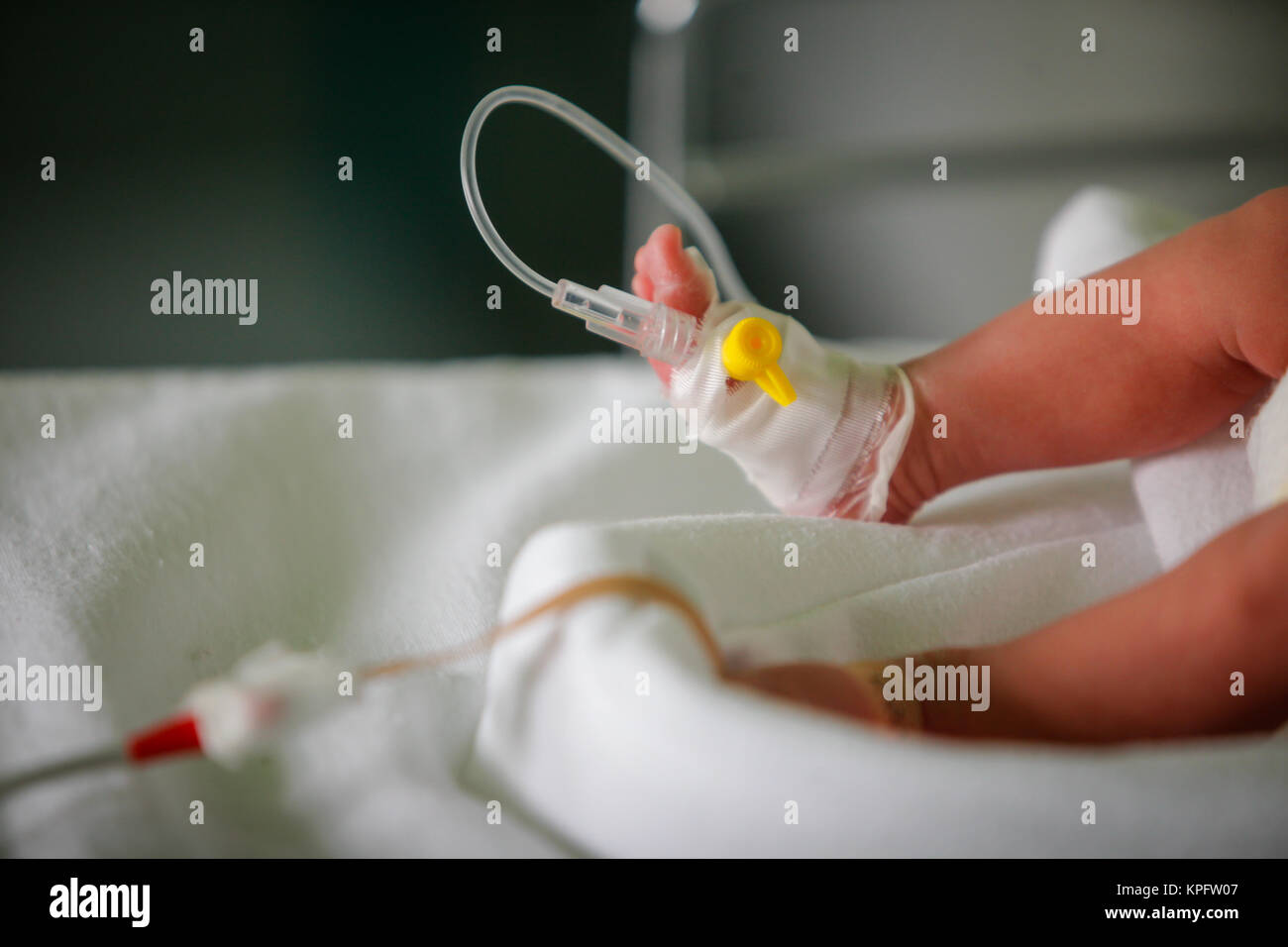 Premature little baby in an incubator at the neonatal section of the maternity Stock Photo