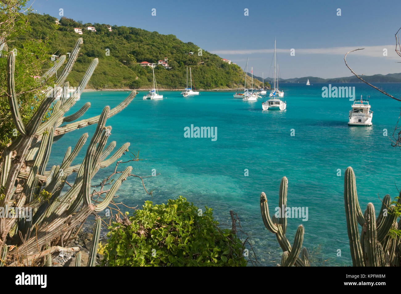 UK, BVI, Jost van Dyke, White Bay. Popular moorings for bareboaters and