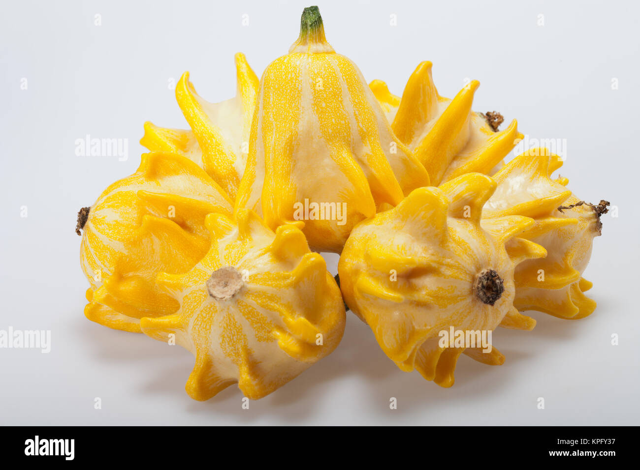 Decorative pumpkin isolated on white background Stock Photo - Alamy