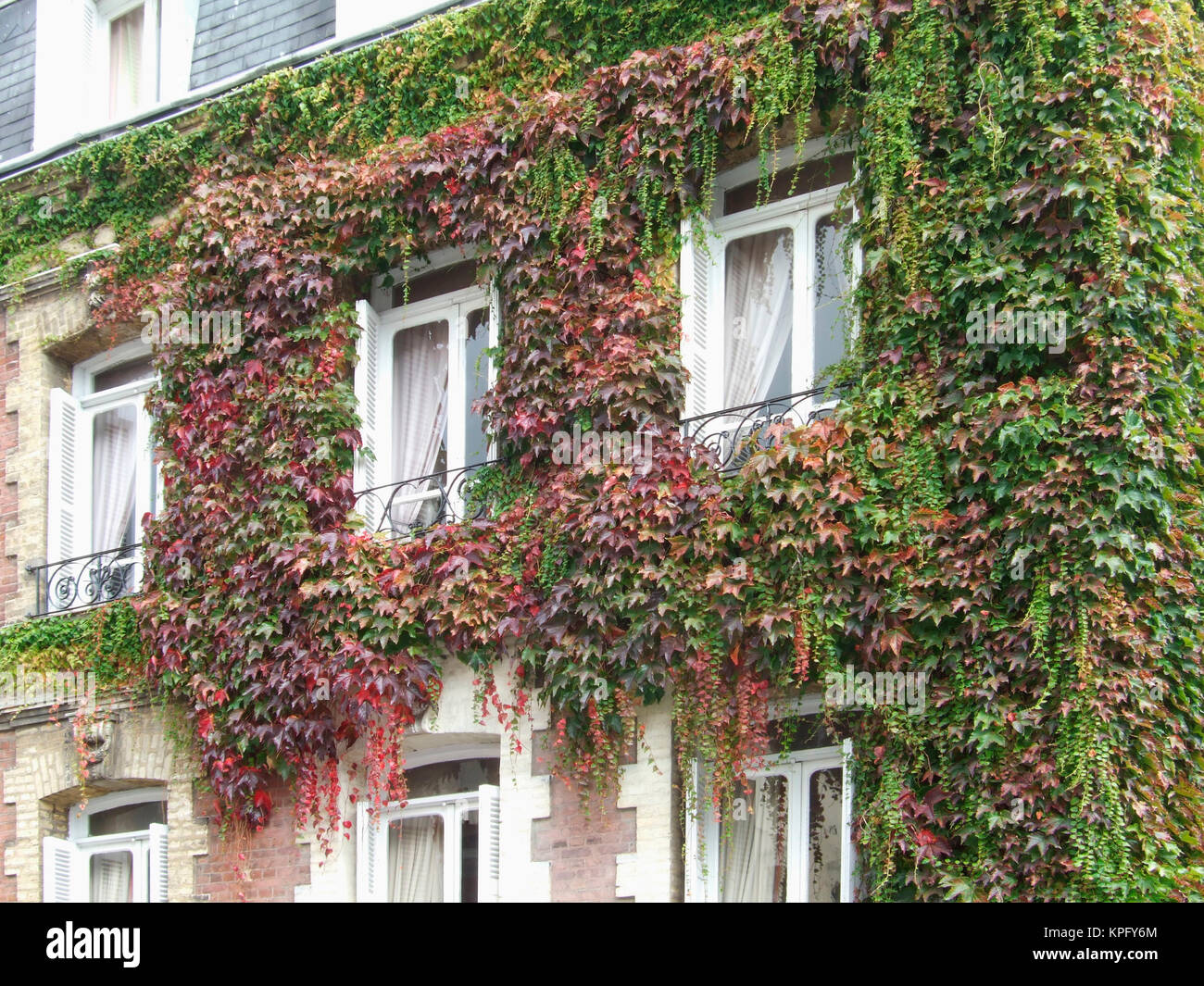 Ivy Covered House, Le Havre, Normandy, France Stock Photo - Alamy