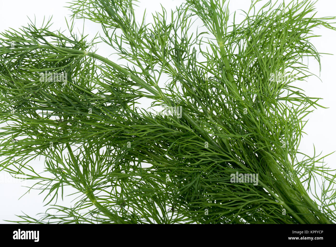 Green dill isolated on white background Stock Photo Alamy